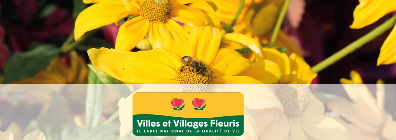 Récemment, la Région Grand Est vient de reconnaitre les progrès de la Ville de Tomblaine dans le domaine environnemental en lui attribuant son prix Régional avec deux fleurs, ainsi que le prix « spécial coup de cœur 2019 » de la région.